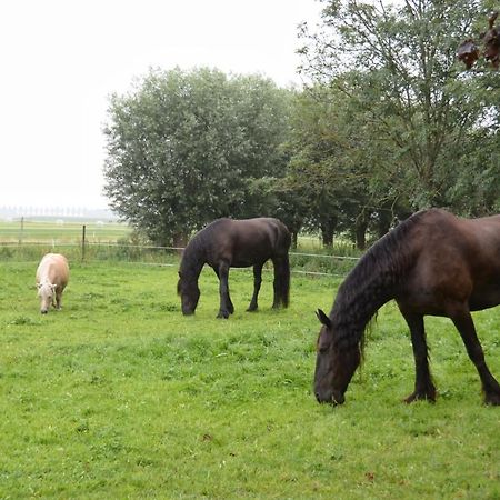 Apartment Het Friesche Paard Purmer Εξωτερικό φωτογραφία