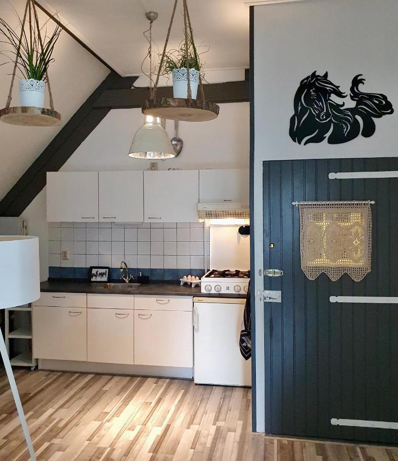 Apartment Het Friesche Paard Purmer Εξωτερικό φωτογραφία